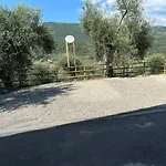 Luly Dachi Farm