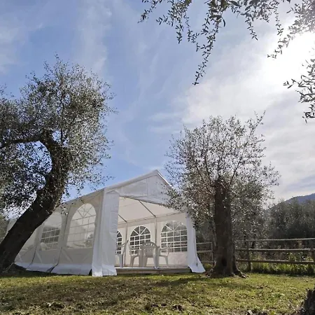 Luly Dachi Farm