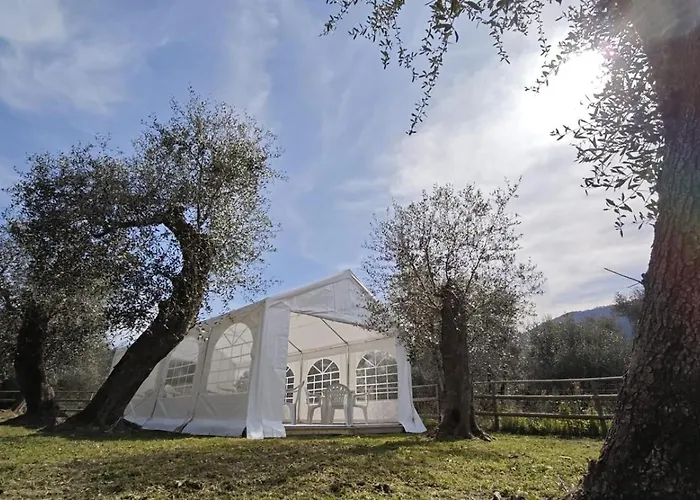 Luly Dachi Farm